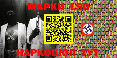 прущие грибы Будённовск