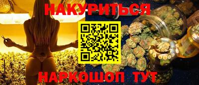 прущие грибы Будённовск