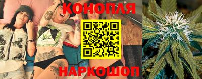 прущие грибы Будённовск