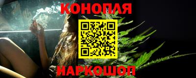 прущие грибы Будённовск